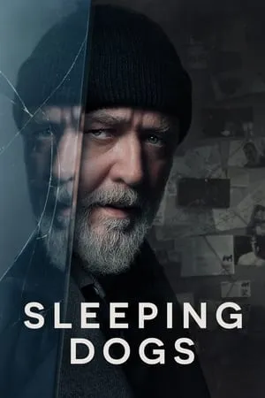 KuttyMovies Sleeping Dogs 2024 English Full Movie WEB-DL 480p 720p 1080p Download